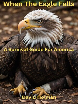 cover image of When the Eagle Falls; a survival guide for America